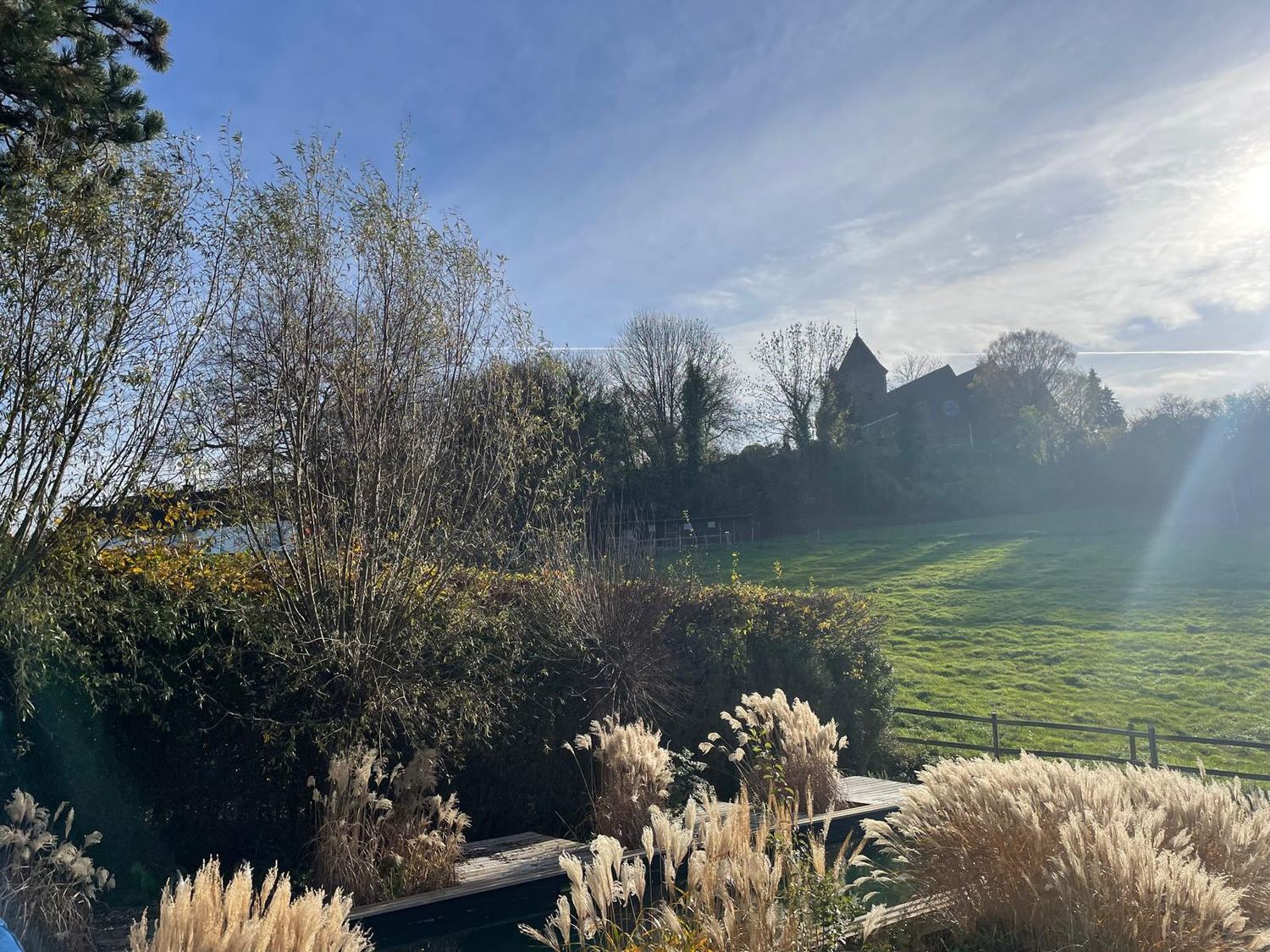Le jardin